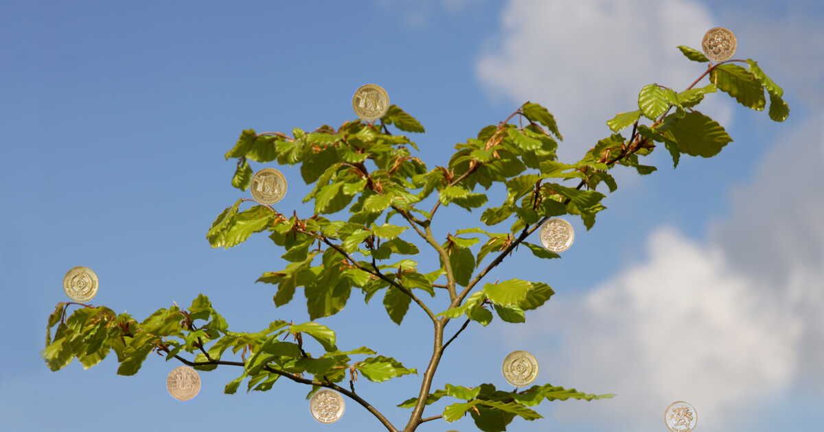 Investir après 60 ans : les meilleurs choix pour votre retraite