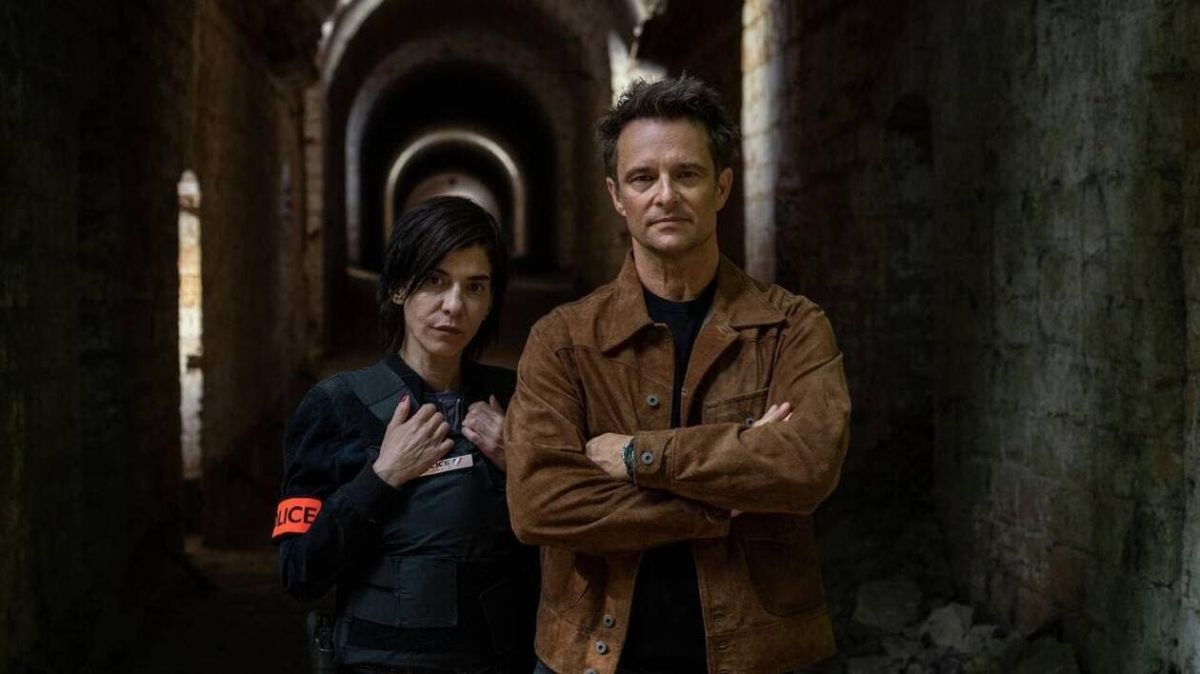 David Hallyday : un retour réussi avec Ardennes, vers une série ?