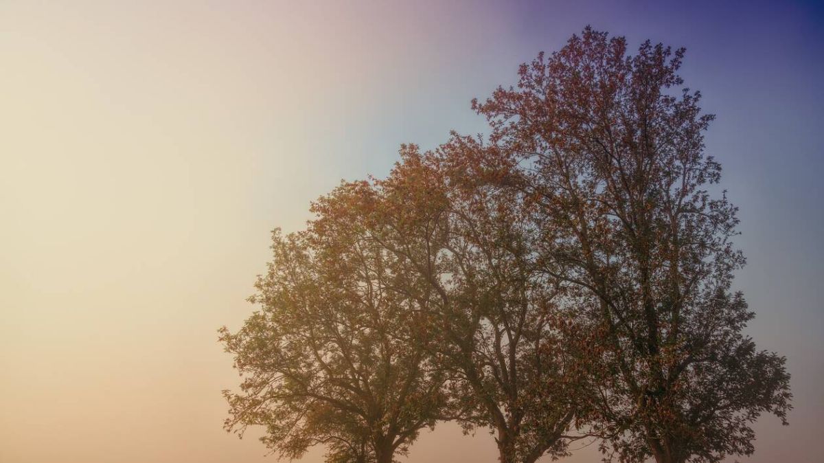 Un vendredi brumeux à Alençon : météo garantie sous une couverture nuageuse