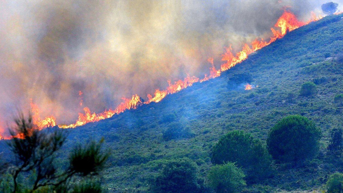 Sept millions d'euros pour soutenir les agriculteurs sinistrés des Corbières