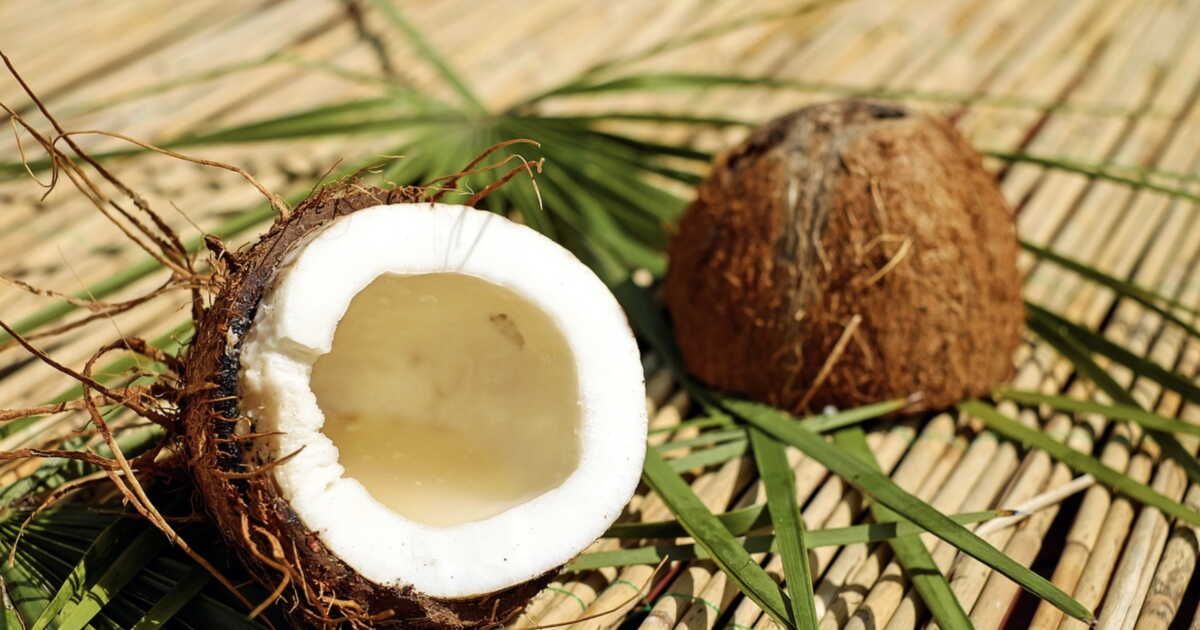 Un menu exotique des Antilles en trois plats