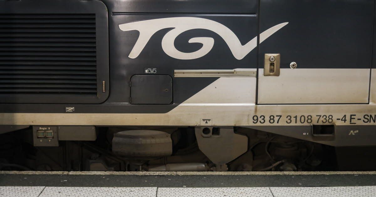 En plein TGV, un enfant victime de violences : le traumatisme d’une mère débordée
