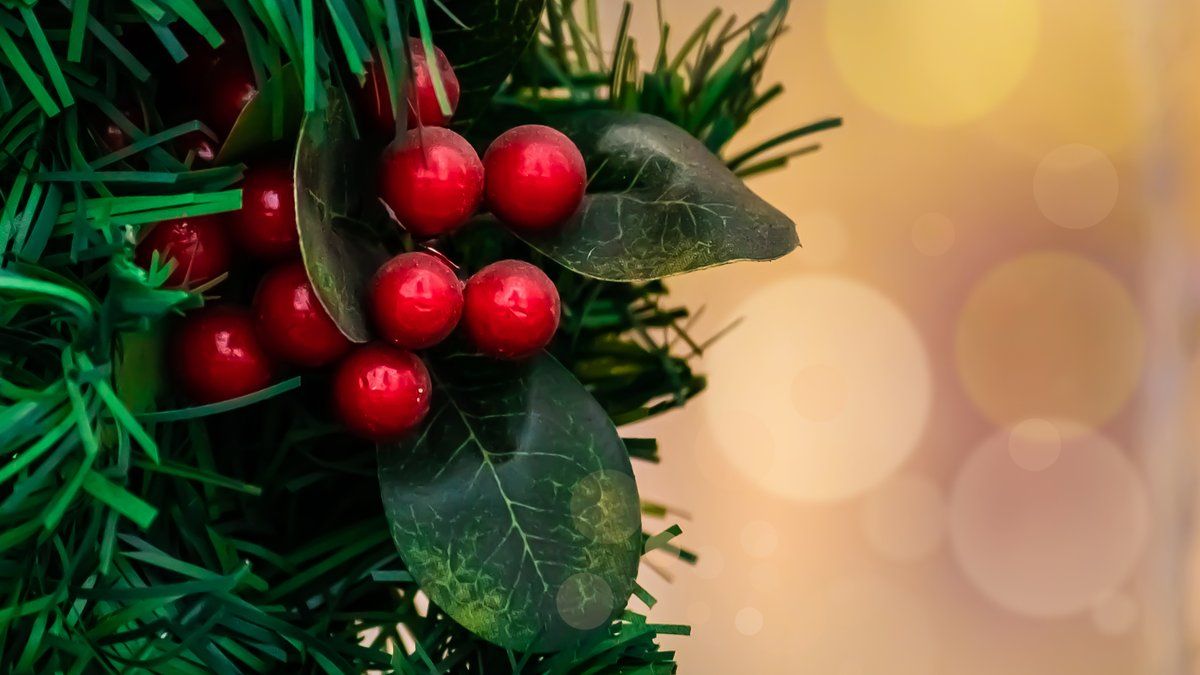 La tragédie de randonneurs en quête de gui pour Noël