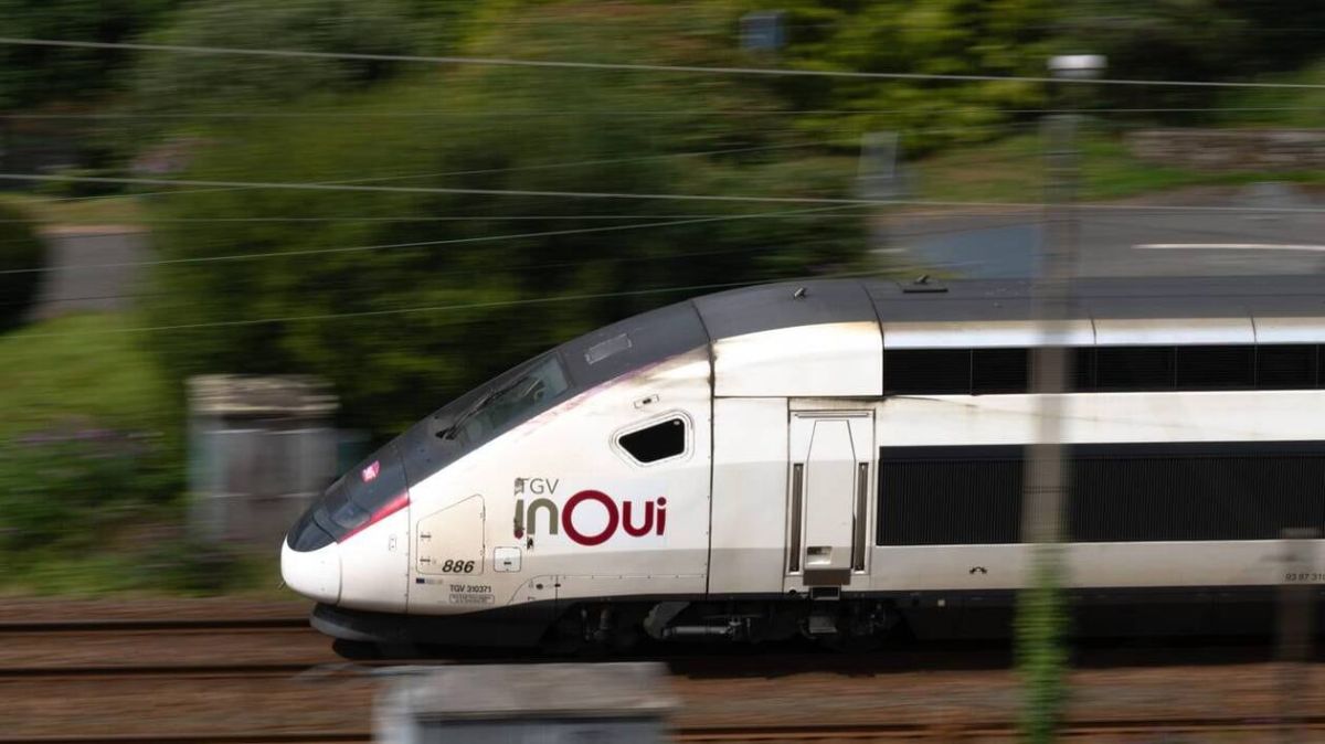 Une mère en garde à vue après avoir violenté son fils de 6 ans dans un train