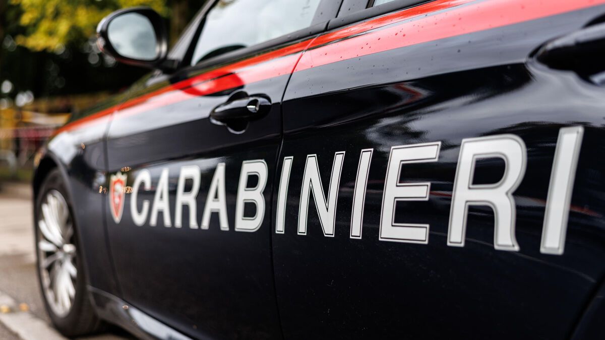 Deux randonneurs perdent la vie en quête de gui pour Noël en Italie