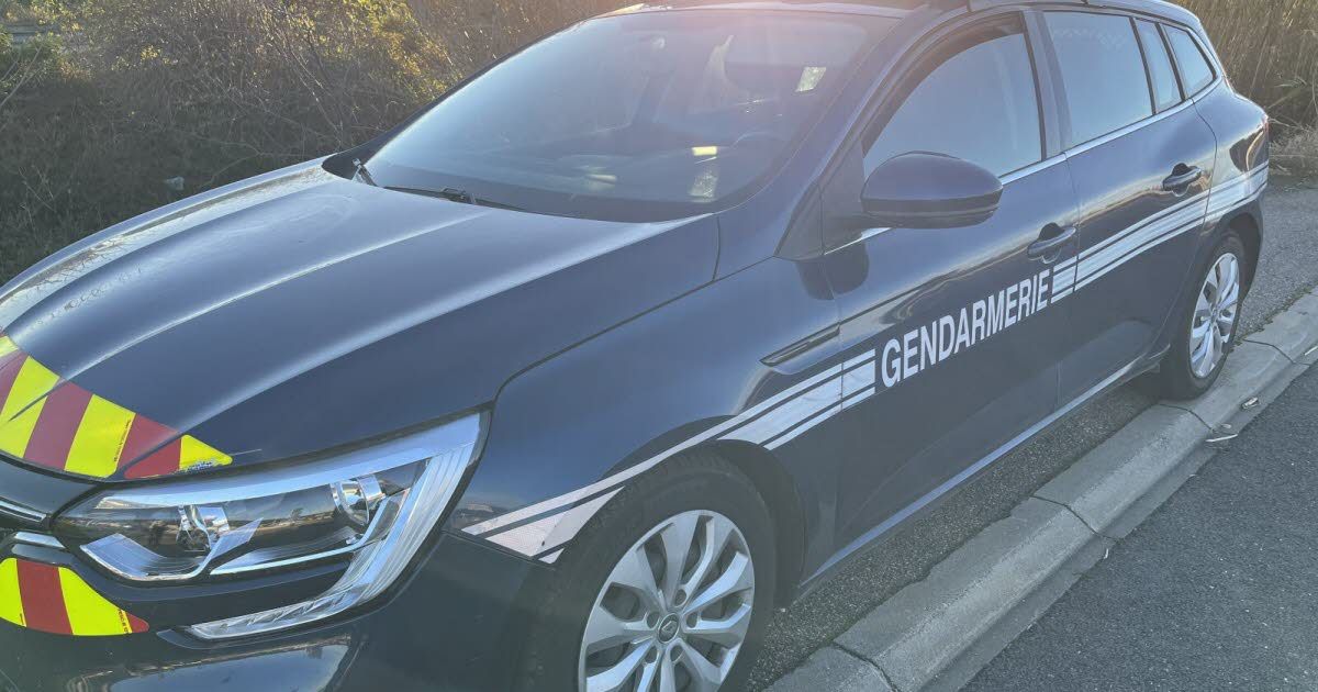 Vaucluse : une opération de gendarmerie révèle un trafic inquiétant