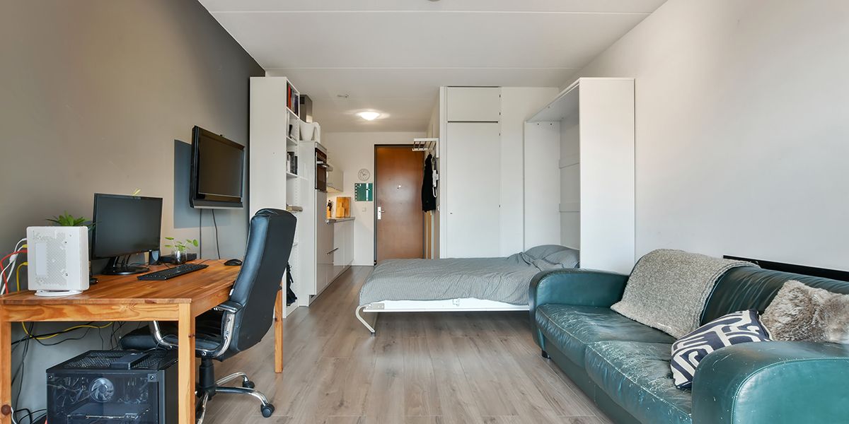 Déclarer un studio comme résidence principale : une stratégie risquée pour réduire ses impôts