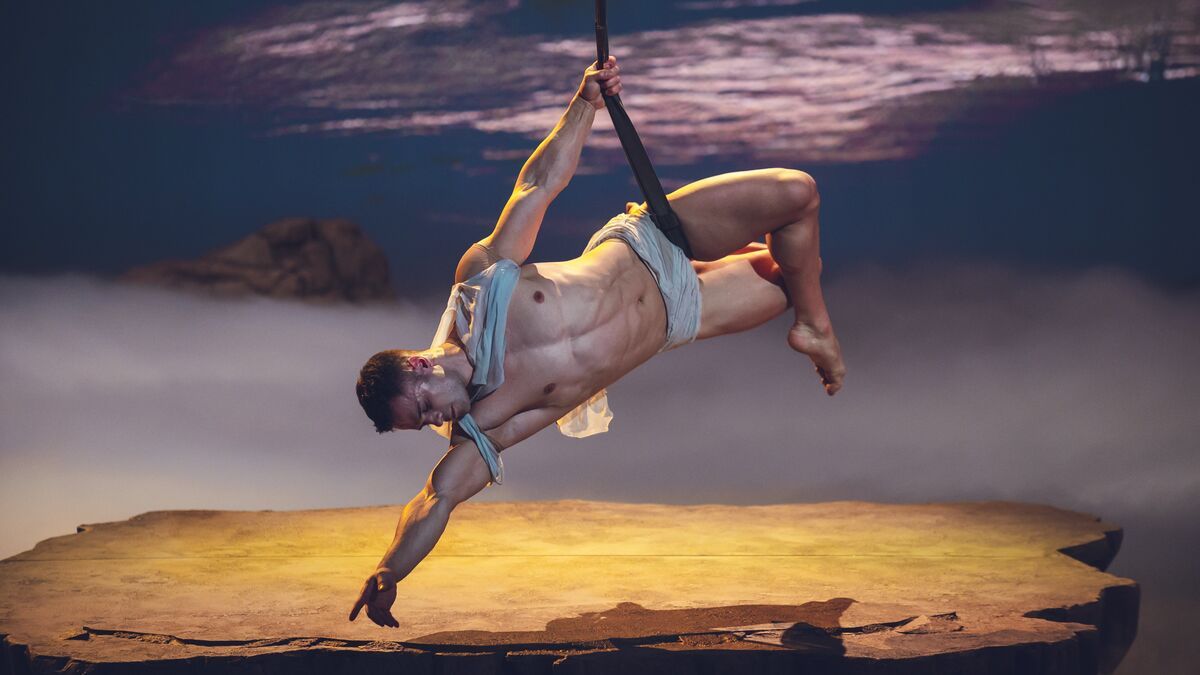 Thomas Rochelet : le patineur devenu artiste des sangles aériennes sur M6