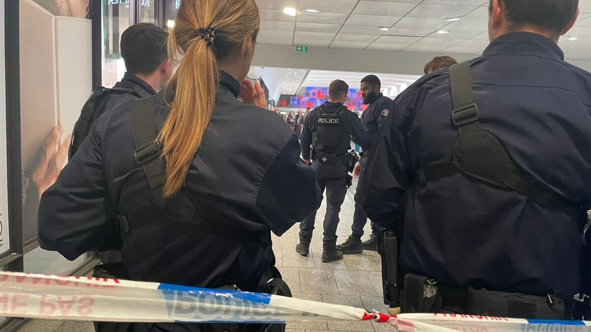 Colmar : un octogénaire en garde à vue après une agression au couteau sur son voisin