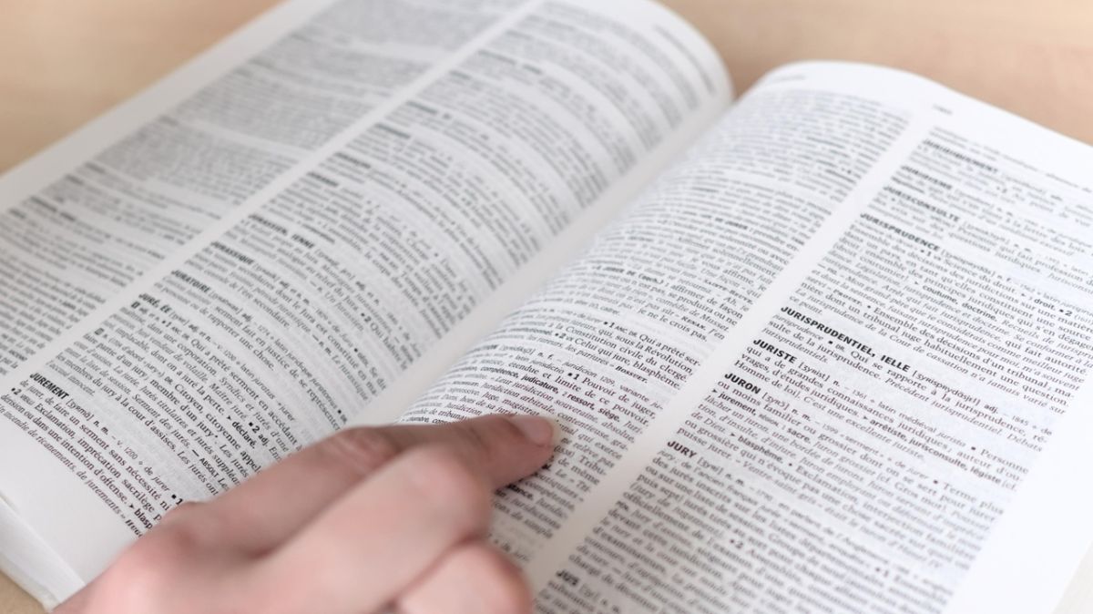 Les mots qui ont marqué 2025 : entre masculinisme et gougnafier