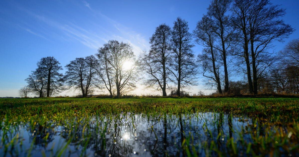 Des températures records en décembre : explications et enjeux