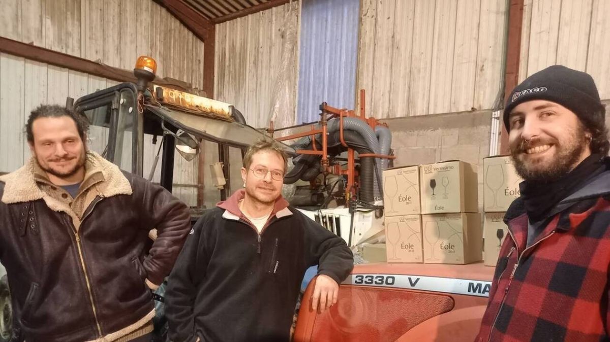 Des vignerons d'Anjou redéfinissent l'art de vinifier avec passion