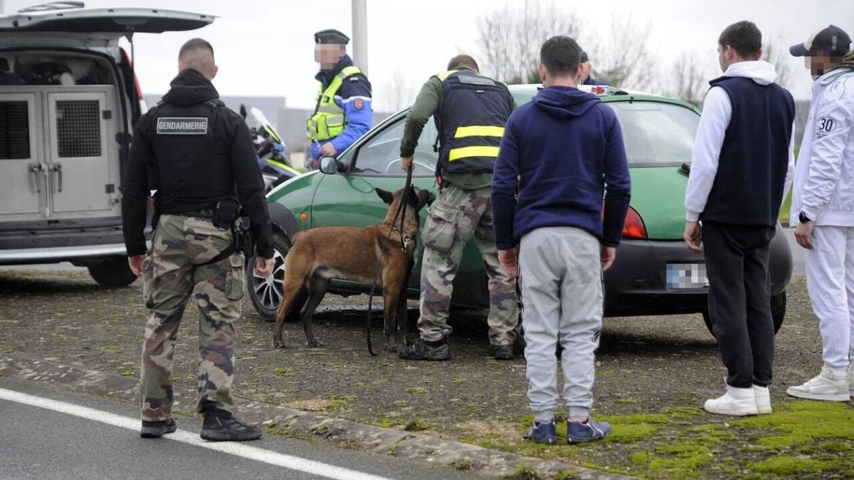 Une vaste opération de gendarmerie pour sécuriser Saint-Maixent-l'École