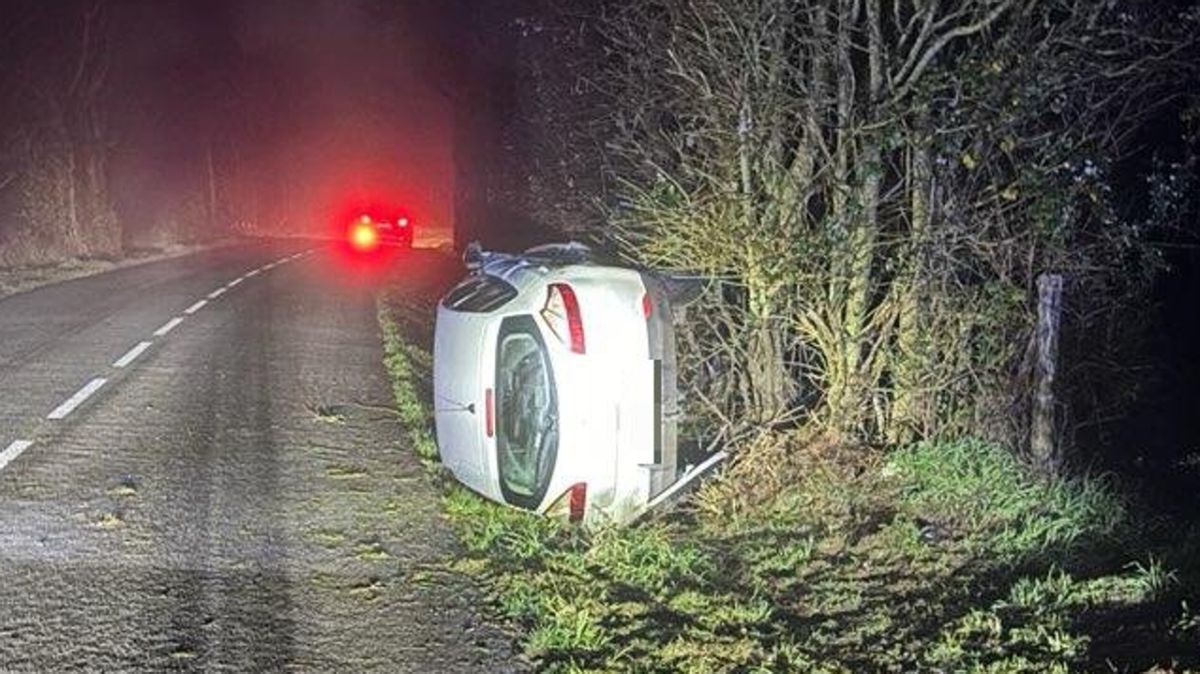 Une automobiliste s'en sort indemne après une manœuvre pour éviter un chevreuil