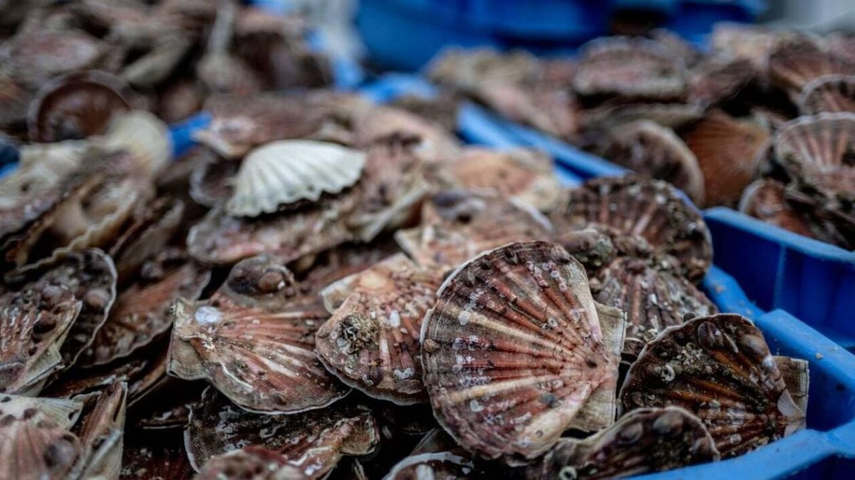 Un nouvel accord de pêche entre l'Union européenne et le Royaume-Uni pour 2026