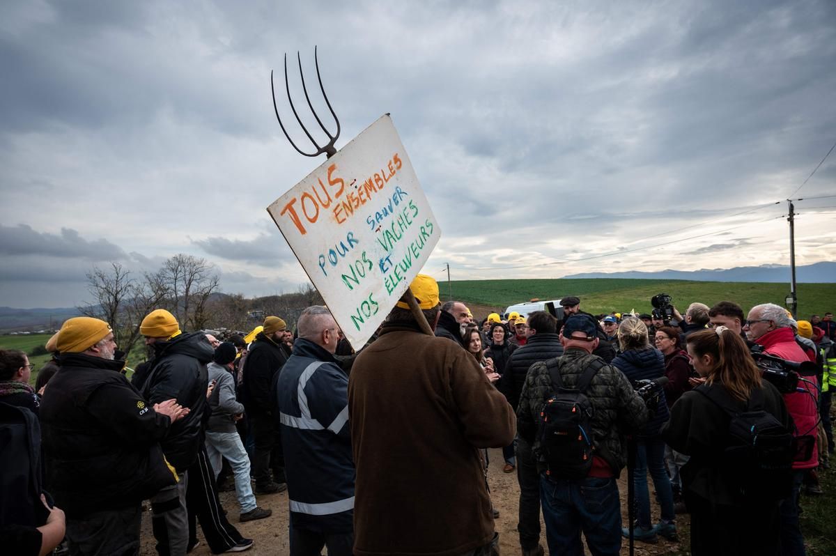 Agriculteurs en colère : action à Agen et enjeux derrière la dermatose