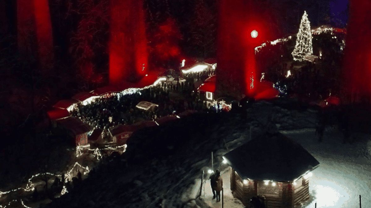 À la découverte du marché de Noël féerique de la Forêt-Noire