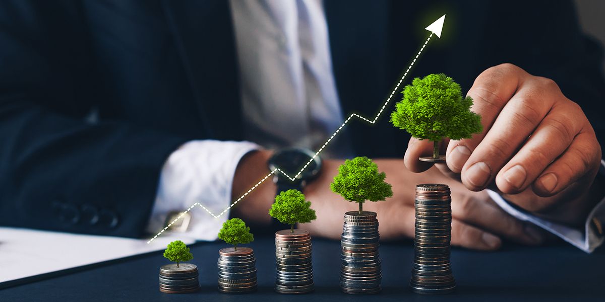 Entre épargne et investissement : le guide pour optimiser votre argent