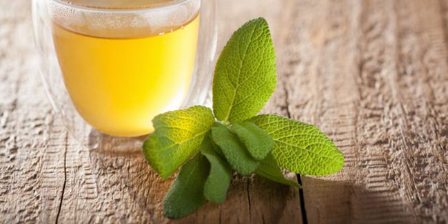 Les vertus de la sauge : un trésor de santé