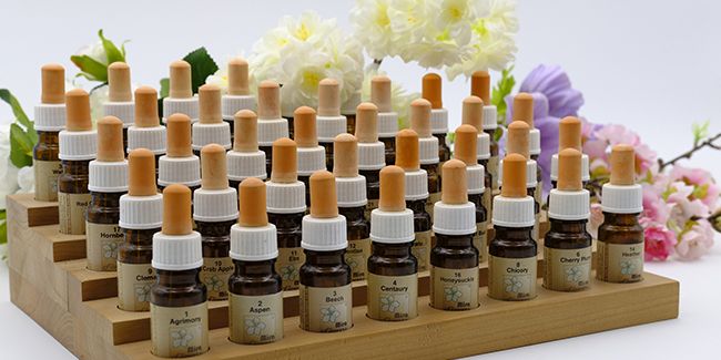 À la découverte des fleurs de Bach : remèdes naturels pour l'âme