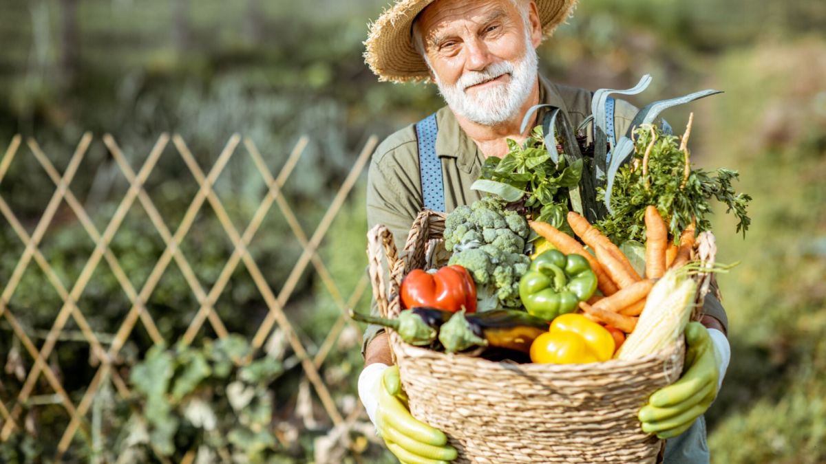 Cultiver face aux défis climatiques : astuces pour un potager en pleine santé