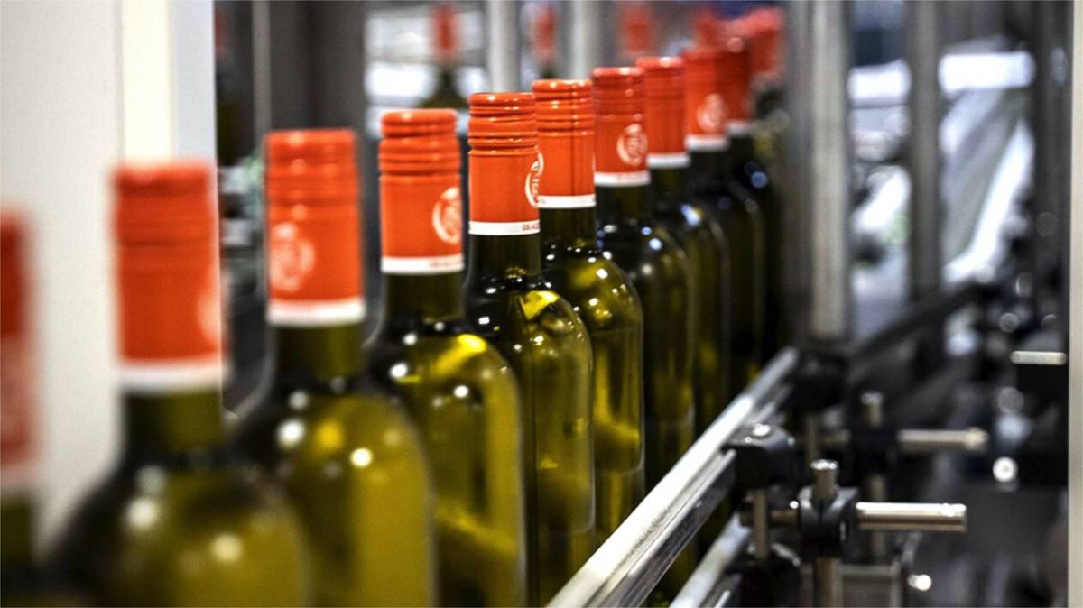 Castel-Vins investit 10 millions d'euros pour innover dans le vin sans alcool à La Chapelle-Heulin