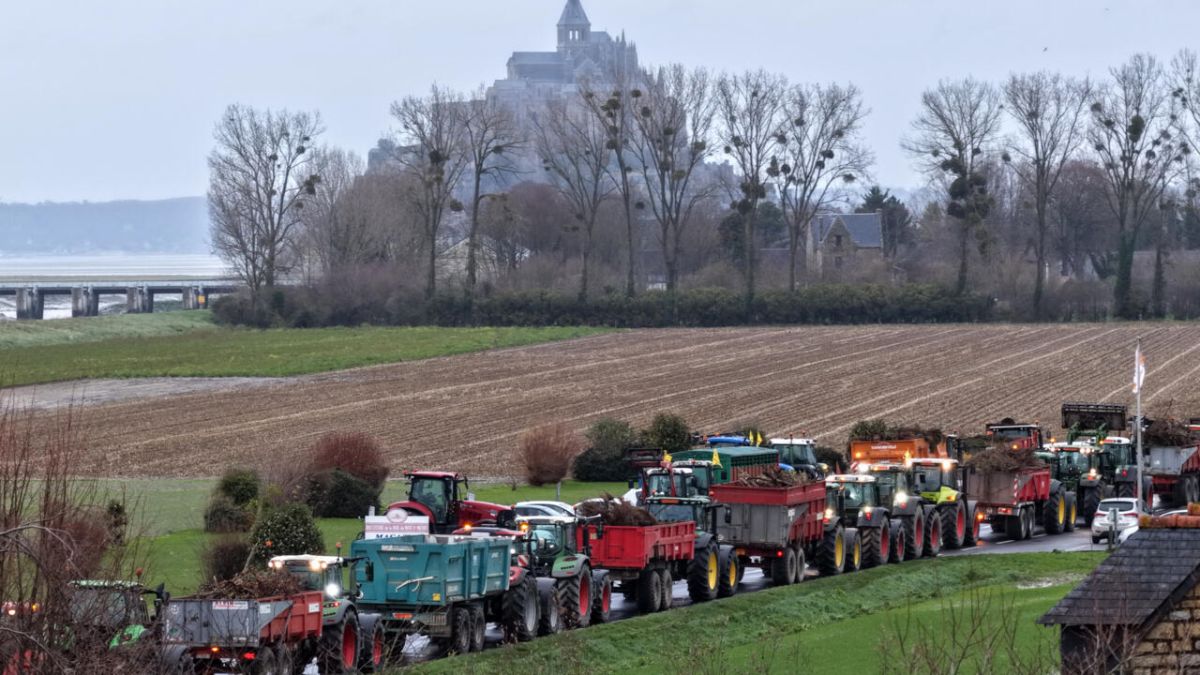 Les agriculteurs en colère : un mouvement qui secoue la France face à la dermatose bovine