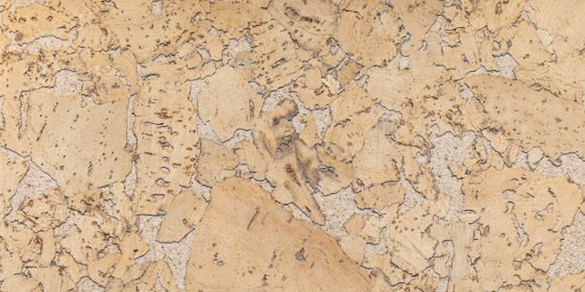 Le sol en liège : un mariage parfait entre esthétique et écologie