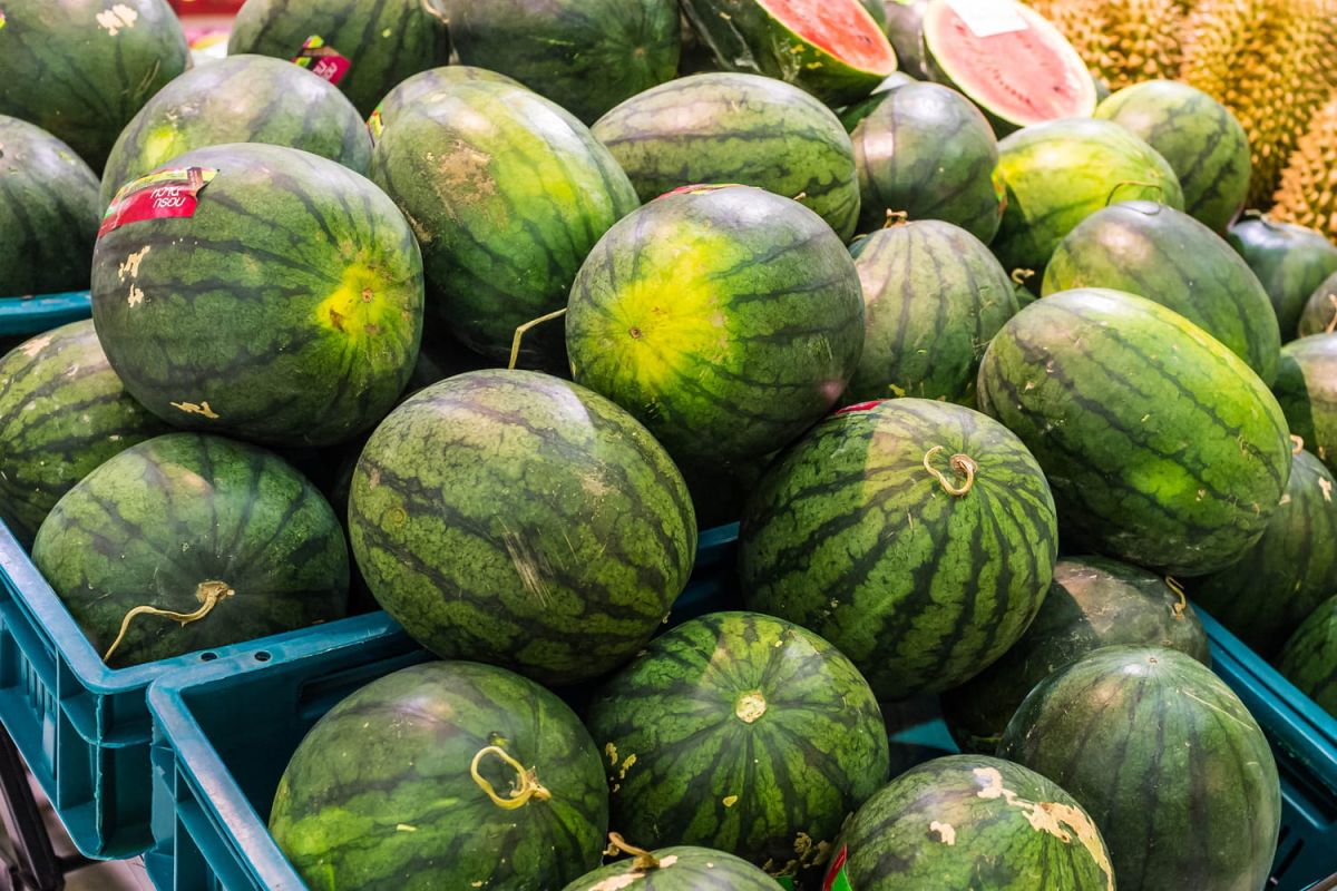 Les secrets infaillibles pour choisir une pastèque mûre et sucrée