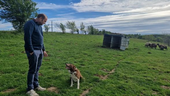Un chien de berger obéit aux noms de grands politiques