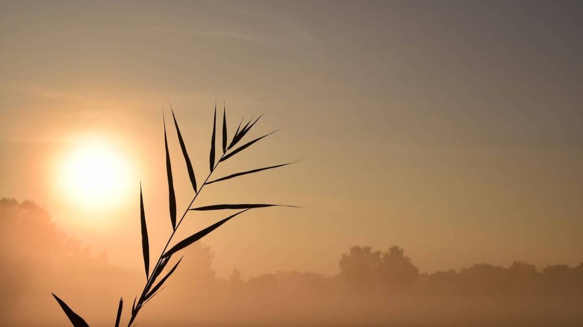 Un doux réveillon sous le ciel d’Évreux : météo du 31 décembre 2025