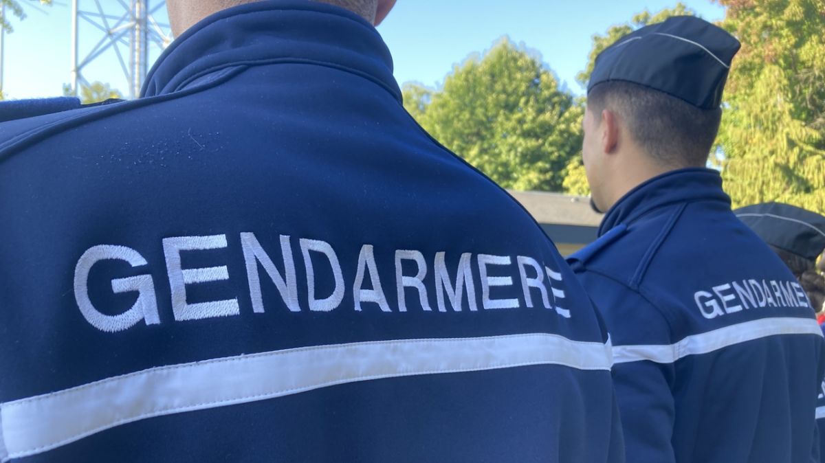 Démantèlement d'un réseau de vol de cartes bancaires dans les Vosges