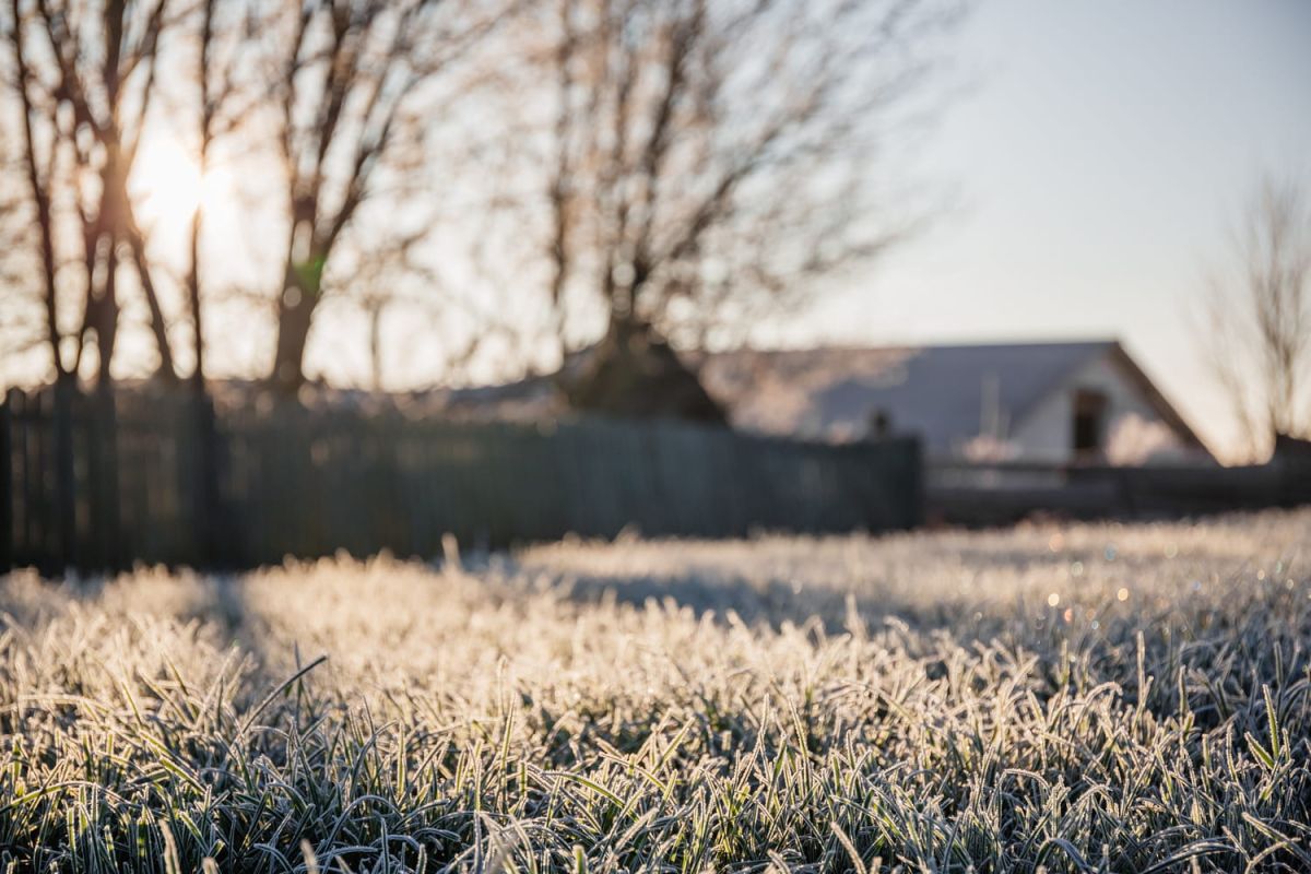 Préparer sa pelouse pour le printemps : conseils essentiels pour un gazon verdoyant