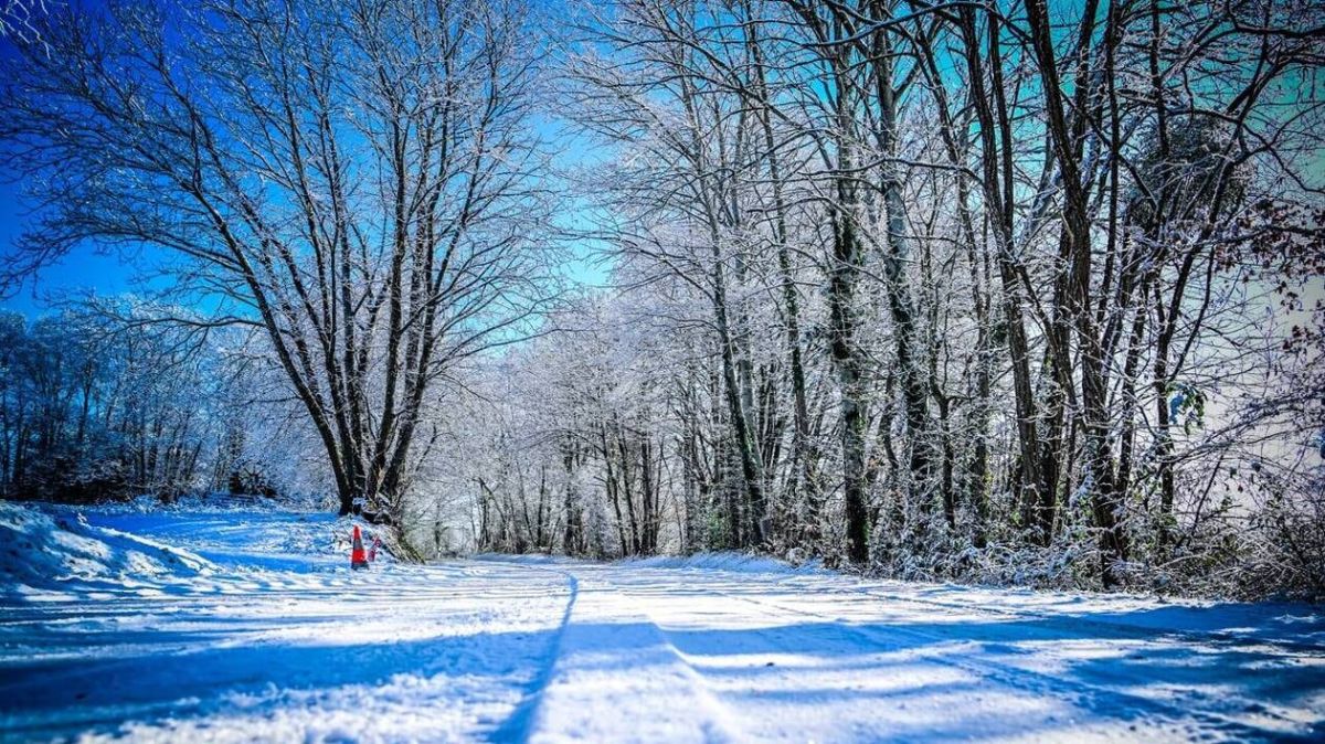 La Sarthe face à la neige : un bilan maîtrisé des accidents