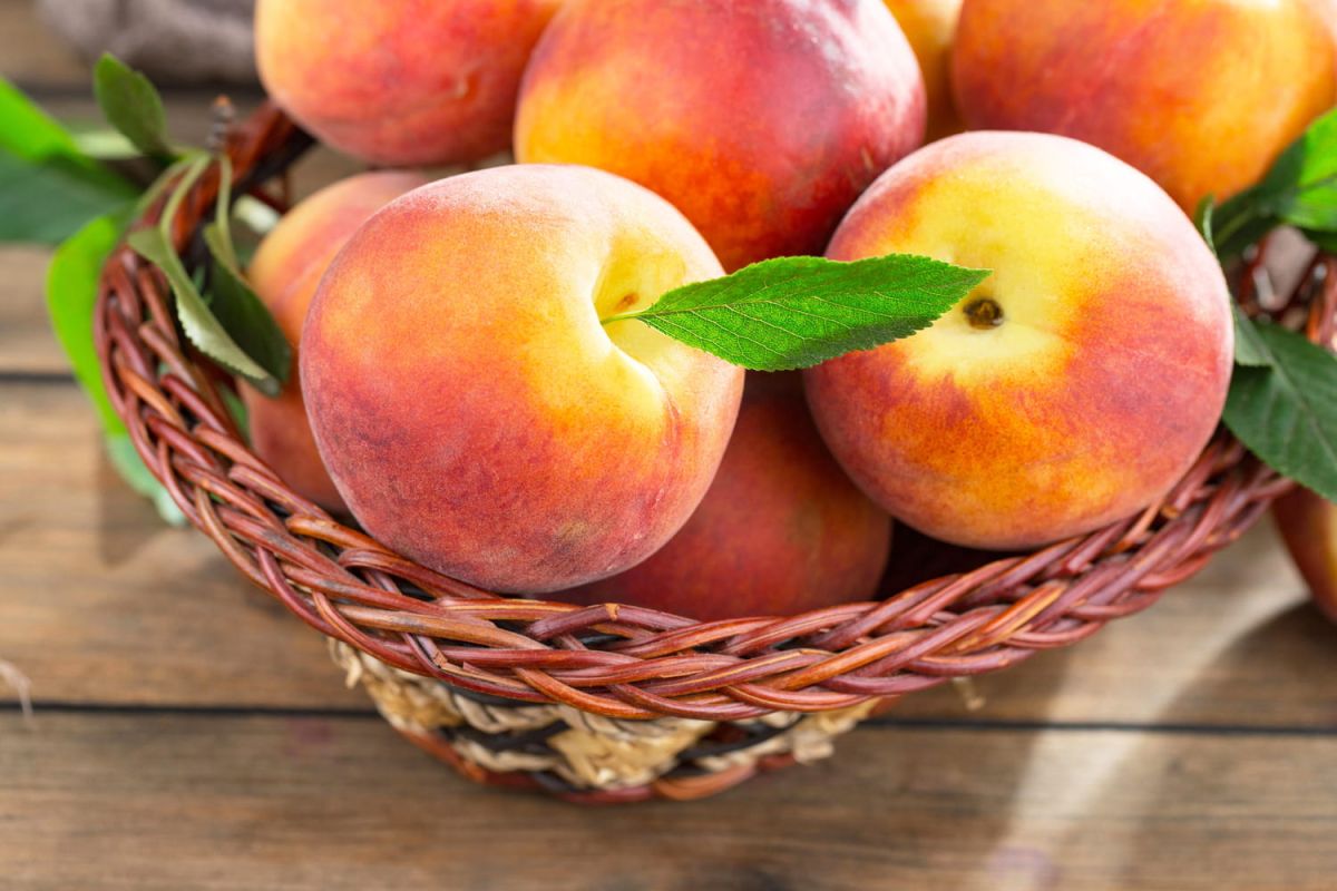 Un simple bouchon pour prolonger la vie de vos pêches