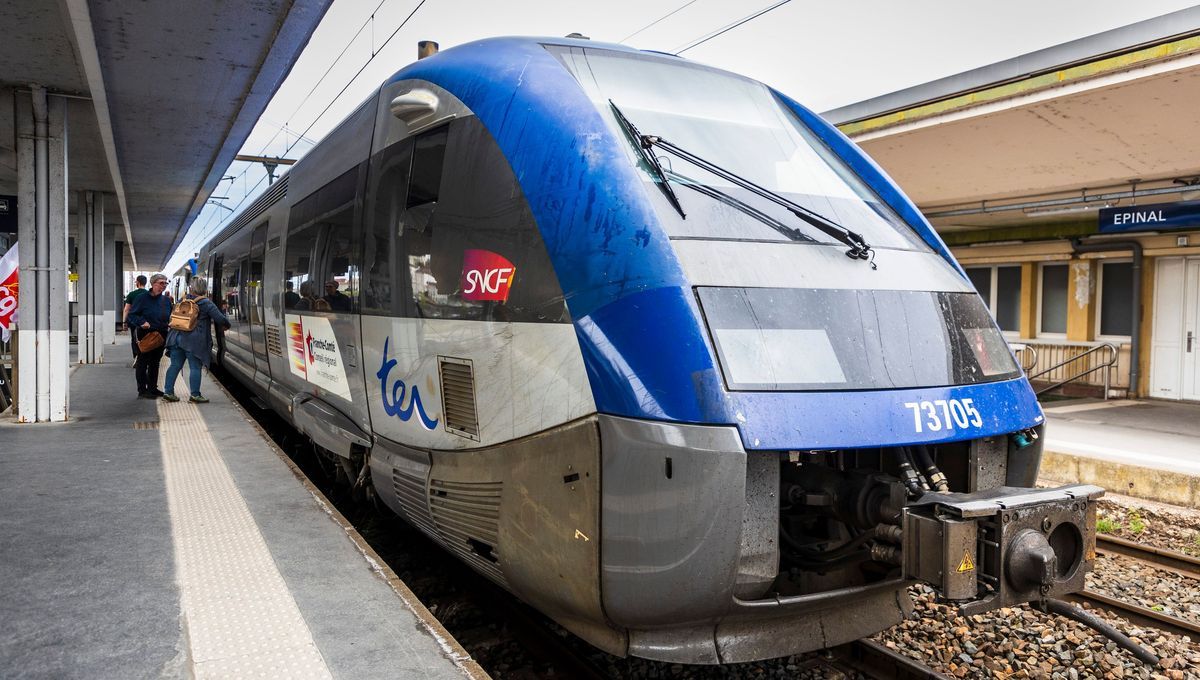 Tempête Goretti : des perturbations sur les rails vosgiens