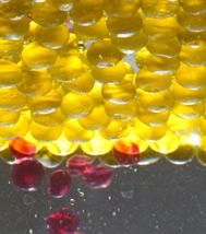 Gastronomie et Colloïdes : une aventure gustative