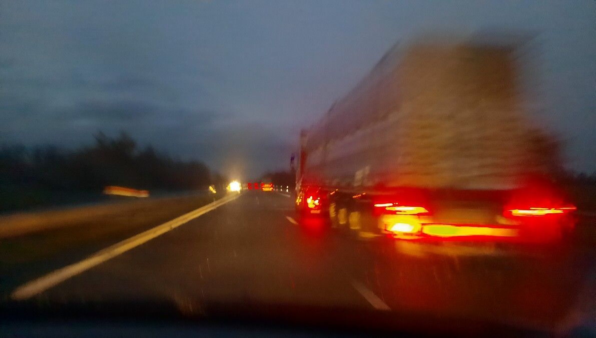 De drôles de promeneurs : deux chevaux bloquent l'A89 en pleine nuit