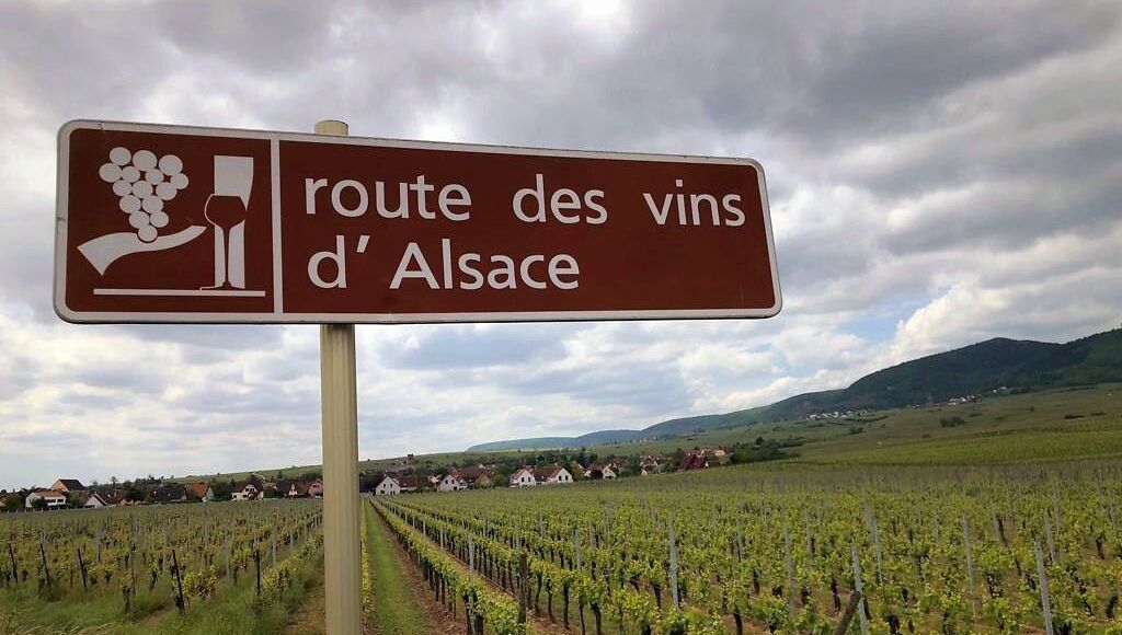 Les vignerons alsaciens face aux incertitudes fiscales : un climat de lassitude