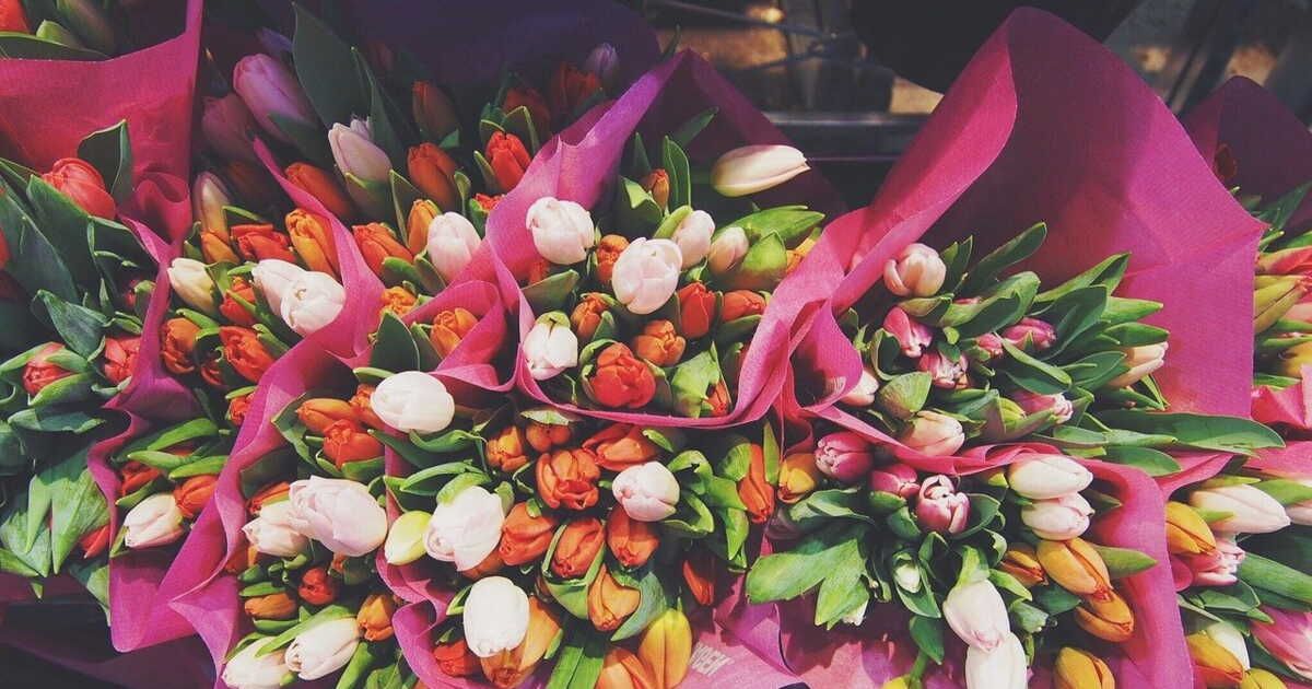 Fleurs coupées : tout ce qu'il faut savoir avant d'acheter un bouquet