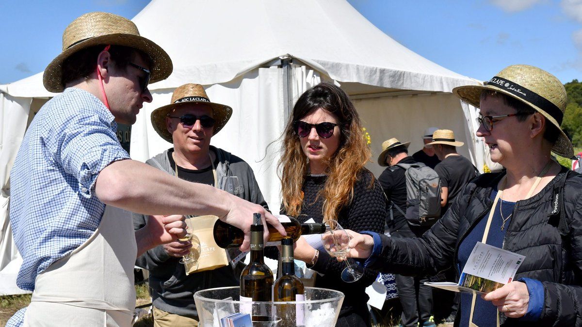 Les vins du Languedoc : un avenir prometteur en Inde