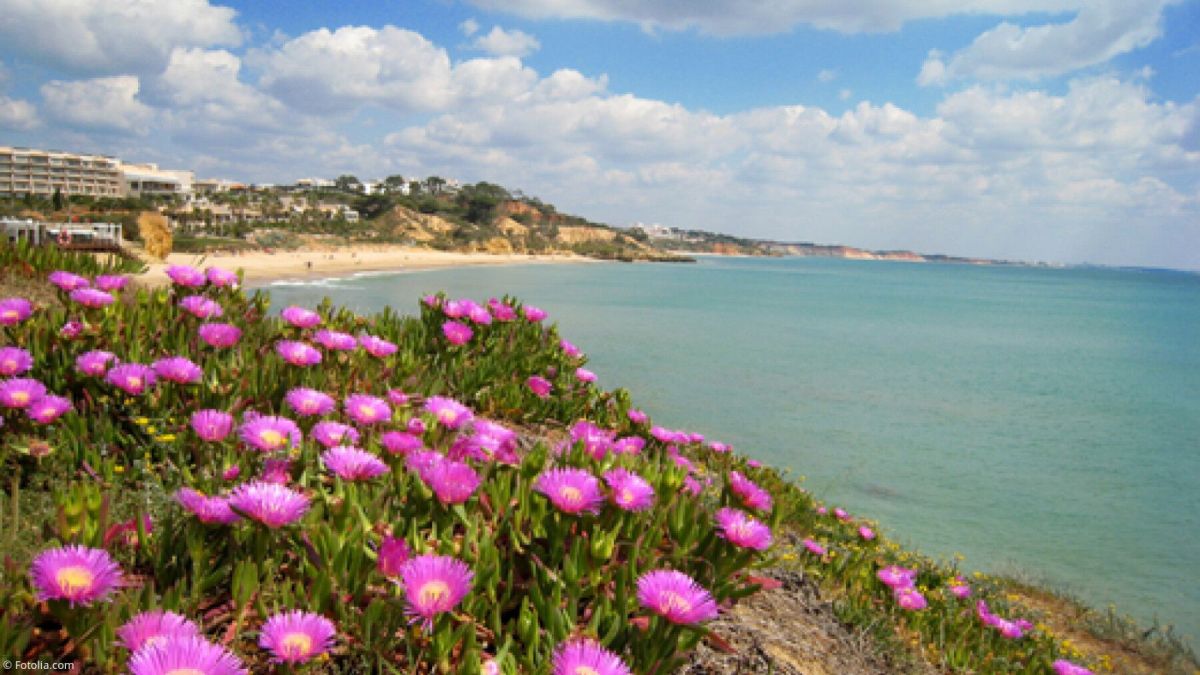 peut-on toucher le minimum vieillesse en s'installant à l'étranger ?