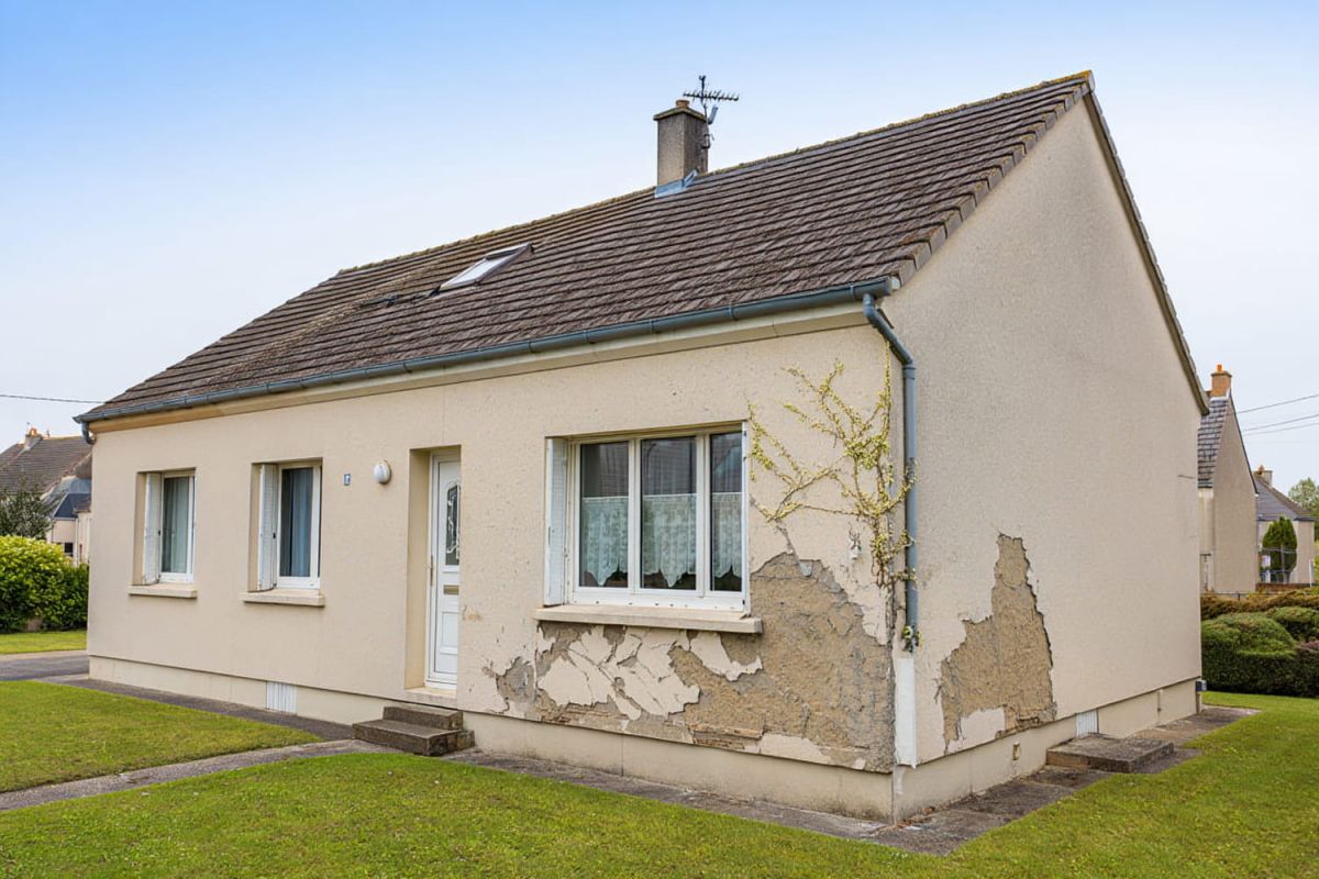 quand la glycine embellit et menace les murs : ce que vous devez savoir