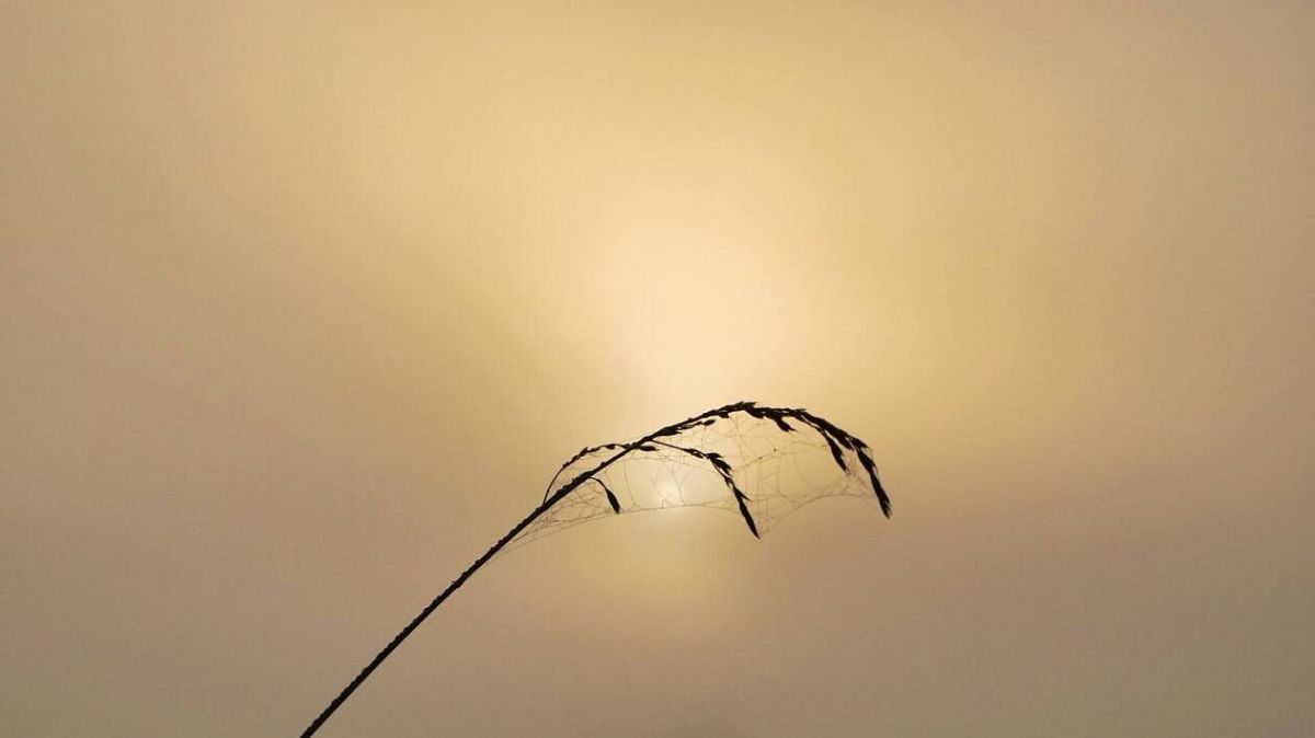 Météo : prévisions du 3 mars 2026 à Argentan et alentours