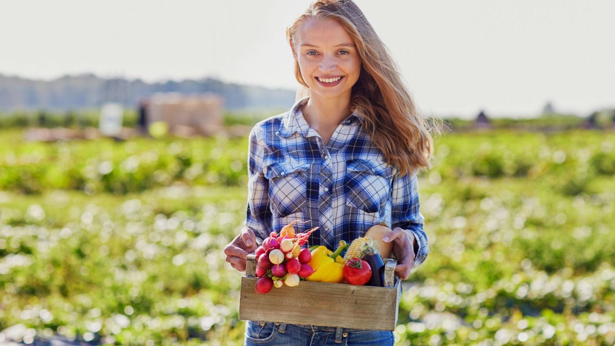 Créer un potager florissant pour l'été