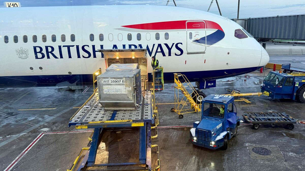 tragédie en plein vol : une passagère perd la vie lors d'un vol hongkong-londres