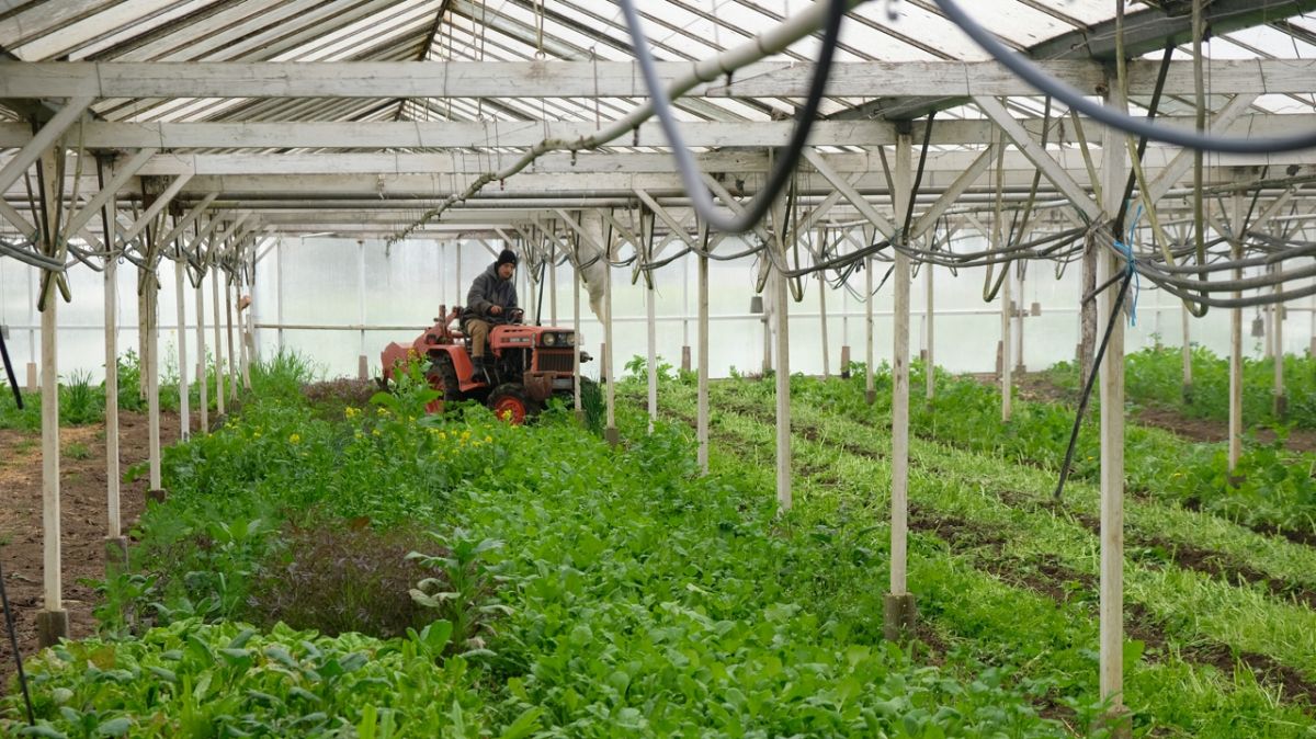 La course aux saisonniers : vers un été plein d'opportunités dans la région