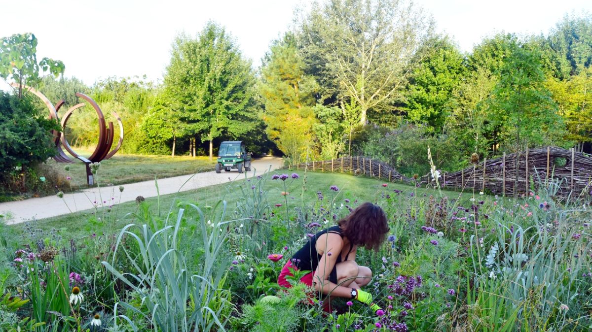 Chaumont-sur-Loire : le domaine recherche 110 saisonniers pour une saison exceptionnelle