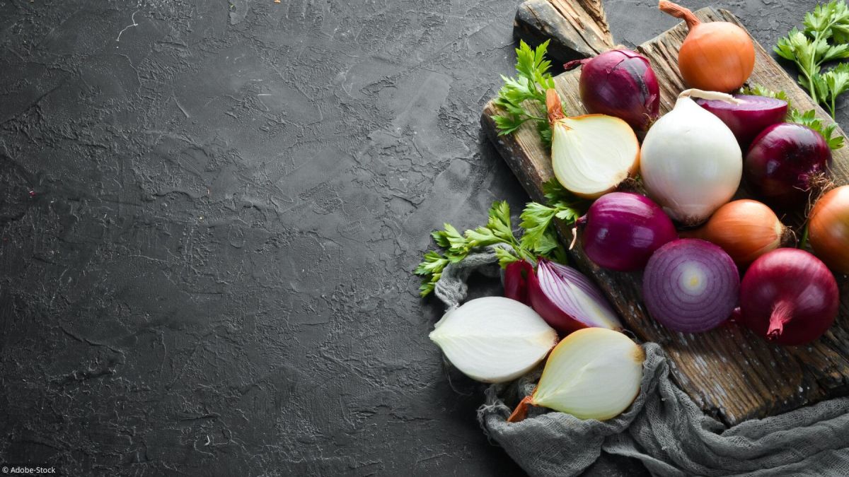 L'oignon, la star des potagers