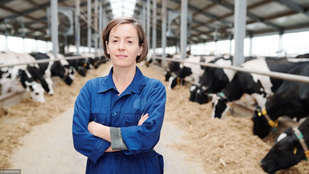 Retraite agricole : vos droits en cas de veuvage